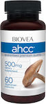 Biovea 500mg Supplement for Immune Support 60 caps