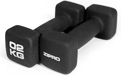 Zipro 10947182 Βαράκι από Νεοπρένιο 1 x 2kg
