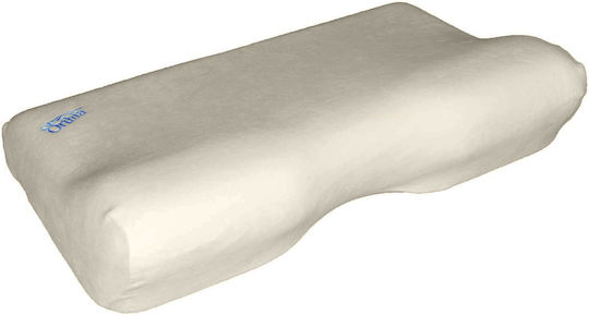 Orthia Evolution Filler Foam Ανατομικό 32x53x12cm Orthia Evolution Filler Foam Ανατομικό 32x53x12cm