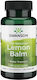 Swanson Full Spectrum Lemon Balm 500mg 60 caps