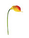 Calla Lily Red 98cm Lianos
