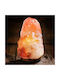 Mikamax Decorative Lamp Himalayan Salt