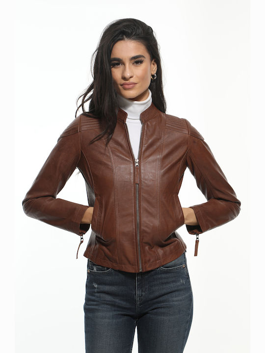 Newton Leather Women's Short Lifestyle Leather Jacket for Winter Brown