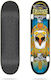 Cruzade 8" Komplett Kurzboard Mehrfarbig