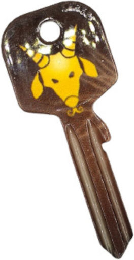 Errebi Schlüssel Einfach 1Stück mit Design Sternzeichen Steinbock