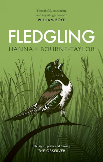 Fledgling Fledgling