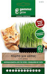 Cat Nutrition Supplements