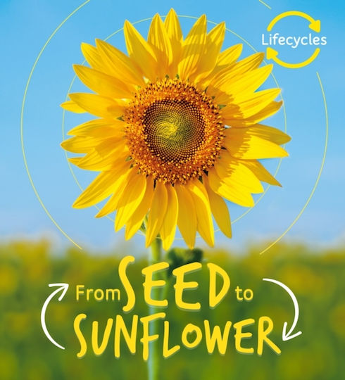 Lifecycles: Seed To Sunflower Lifecycles: Seed To Sunflower