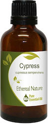 Nature & Body Essential Oil Cypress 50ml