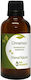 Nature & Body Cinnamon Leaf Essential Oil Cinnamon 50ml