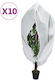 vidaXL 3203576 Frostschutzdeckel 70gr/m² 3.14x2...
