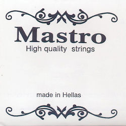 Mastro για Ακουστική Κιθάρα Acoustic .038"