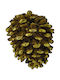 Espiel Weihnachtsdekoration Kiefer Länge 7cm.