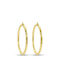 Earrings Hoops made of Silver Gold Plated