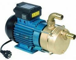 Tellarini Einphasen-Transferpumpe mit Leistung 1.2hp