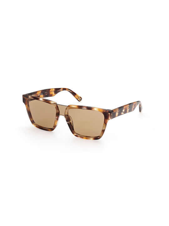 Web Sunglasses with Brown Tartaruga Plastic Frame and Brown Lens WE0314 41F