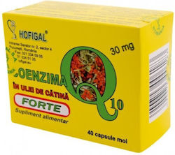 Hofigal Coenzima Q10 30mg Forte In Ulei De Catina 30mg 40 μαλακές κάψουλες