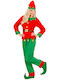 Christmas Costume