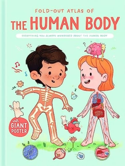 Human Body (fold