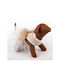 Woofmoda Φόρεμα Σκύλου XXLarge 37cm
