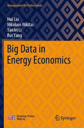 Data In Energy Economics