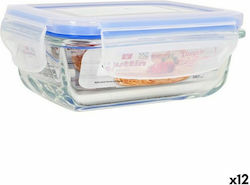 Quttin Plastic Lunch Box 180ml 12pcs