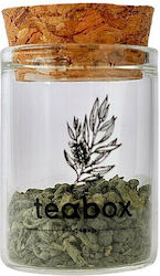 Teabox Organic Product Matcha Tea No5