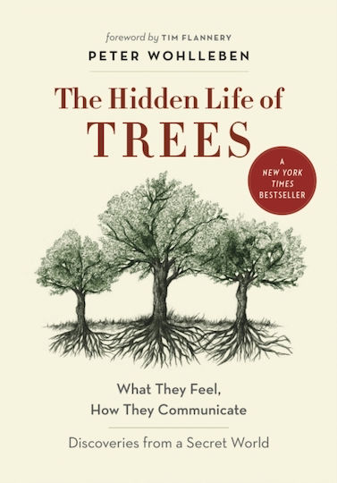 Hidden Life Of Trees Hidden Life Of Trees
