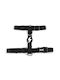 Dashi Σαμαράκι Σκύλου Strap Solid Black Medium DBH00023