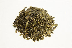 Semințe de Armurariu sau Silybum Marianum 100g Semințe de Armurariu sau Silybum Marianum 100g