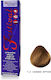 Festival Vopsea De Păr Fără Amoniac No 7.3 Blond Auriu 60ml
