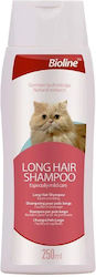 Bioline Katzenshampoo