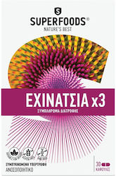 Superfoods Echinacea x3 30 κάψουλες Superfoods Echinacea x3 30 κάψουλες