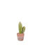 Artificial Plant in Small Pot Succulent Plant Multicolour 23cm Kaemingk