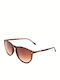 LondonBe Unisex Sunglasses with Brown Tartaruga Plastic Frame and Brown Gradient Lens LB7992851111