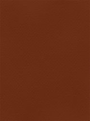 Favini Χαρτόνι 50x70εκ. Καφέ