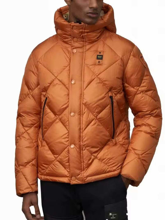 Blauer Geci Barbati