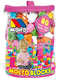 Molto Building Blocks for 1+ Year 80pcs