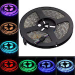 Stimeno Waterproof LED Strip Power Supply 12V RGB Length 5m and 60 LEDs per Meter with Remote Control SMD2835