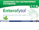 Tilman Enterofytol Special Food Supplement 60 caps