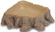 Hobby Hobby Plastic Feeder/Waterer for Reptiles Terrarium