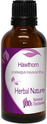 Nature & Body Βάμμα Κράταιγος 50ml Nature & Body Βάμμα Κράταιγος 50ml