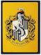 Harry Potter Set von Magneten 1pcs