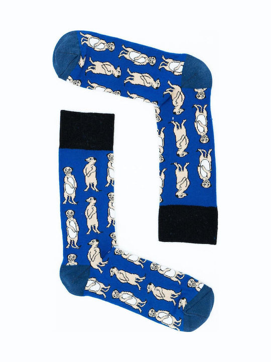 Jokers Herren Socken Blau 1Pack