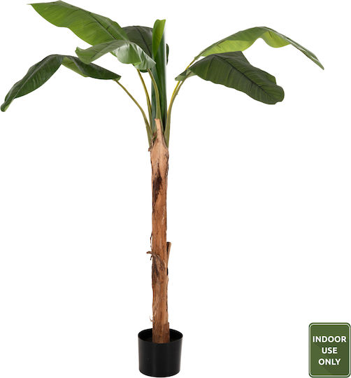 Plantă Artificială în Ghiveci Musa Green 180cm HomeMarkt