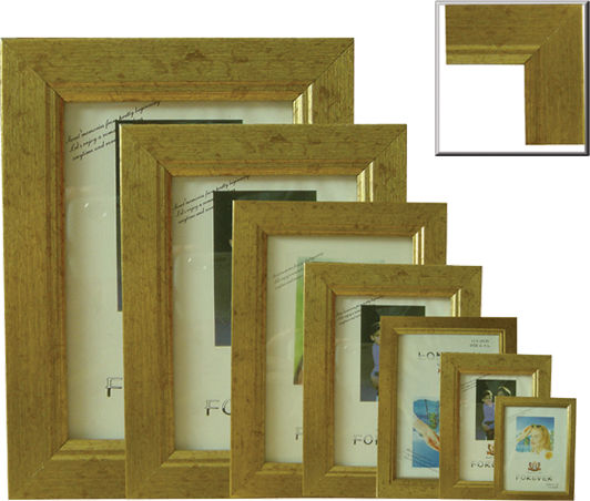 AGC Plastic Photo Frame With Gold Frame