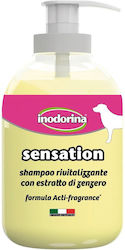 Inodorina Sensation 300ml
