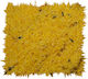 Raff Birds Food for Birds 1kg