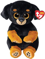 TY Puppy Beanie Bellies Randi 15 cm.