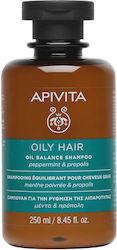 Apivita Oil Balance Peppermint & Propolis Shampoos Tiefenreinigung für Ölig Haare 1x250ml